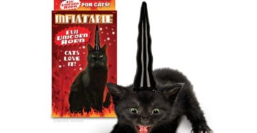 corne de licorne pour chat