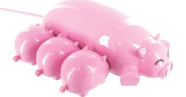 hub usb cochon