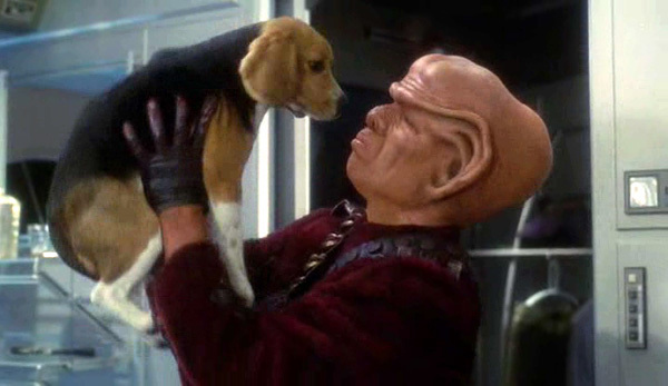 Mais qu'est-ce qu'ils sont moches ces Ferengi !