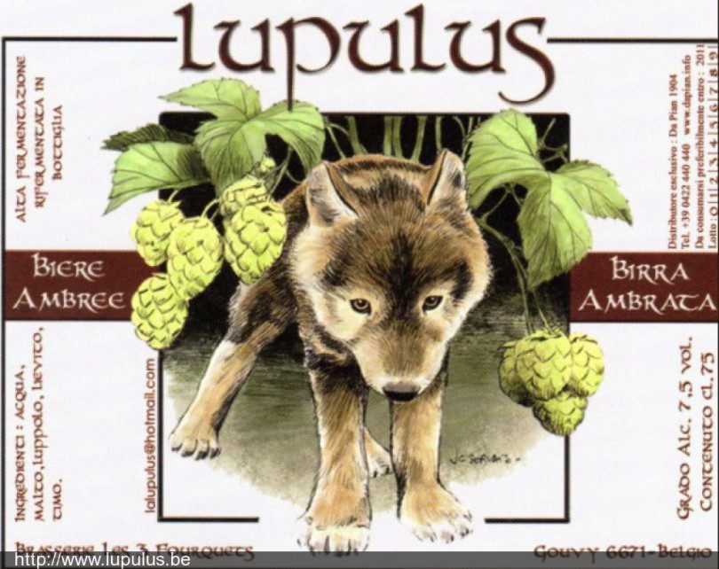 lupulus