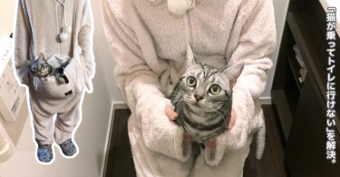 neko suit