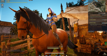 avis objectif bdo black desert online