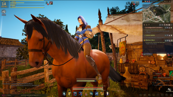 Black Desert Online : je l'ai joué 200h, voici mon vrai avis 1 valkyrie-level14