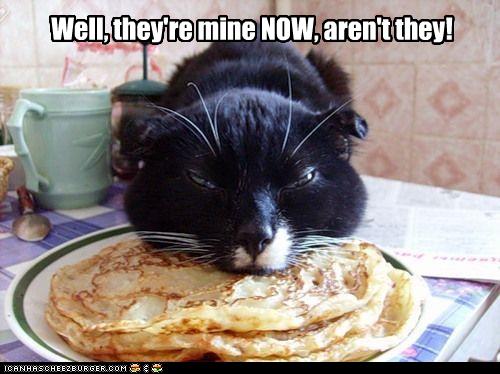 Régime de geek : les vrais conseils qui marchent 12 unny-pictures-cat-eats-your-pancakes