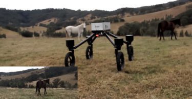 Un robot prend la place des cowboys de sidney en australie